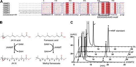 Structural Basis For Juvenile Hormone Biosynthesis By The Juvenile Hormone Acid