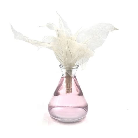 Perfume Use 130ml Empty Glass Diffuser Air Bottle With Nature Diffuser Flower Wick Rattan