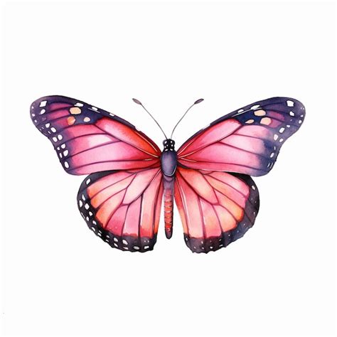 Premium Photo Butterfly With Pink Wings And Black Spots On Its Wings