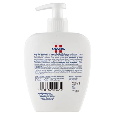 Amuchina Antiodore Sapone Liquido Mani Igienizzante 250 Ml Carrefour