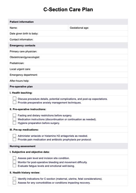 section nursing care plan