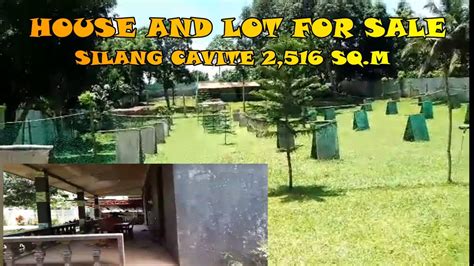 Farm Lot With House Inside For Sale Silang Cavite Town Proper Youtube