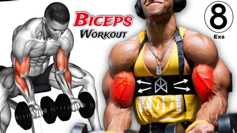 Best Exercises To Build Wider Biceps 8 Best Biceps Workout Youtube