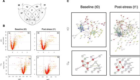 Sex Specific Protein Expression Differences Before And After Stress Download Scientific Diagram