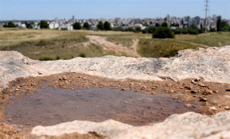 ¿por Qué En Bahía Blanca Y La Región Se Espera Una Merma En Las