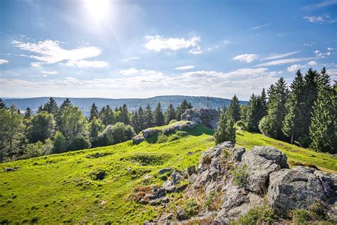 Neue Gäste Oberpfälzer Wald