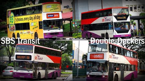 Sbs Transit Double Decker Buses Photo Showcase Youtube