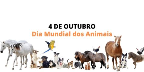 No Dia De Outubro Comemorado O Dia Mundial Dos Animais Data Que