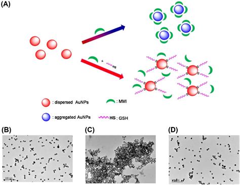 Chemosensors Free Full Text Review On Anti Aggregation Enabled