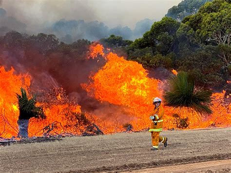 Impact Of Wildfires On Understorey And Biodiversity Rises In Australia