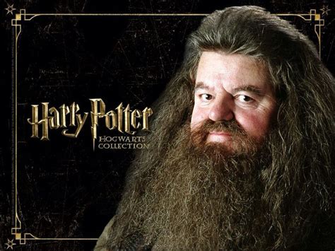 86 best Harry Potter - Hagrid images on Pinterest | Rubeus hagrid ...