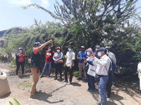 Cedepas Norte Productoras Y Productores Aprenden Sobre El Cultivo De