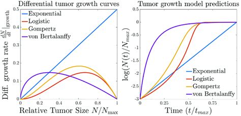 Tumor Growth Curves A Comparison Of Several Differential Growth Curves