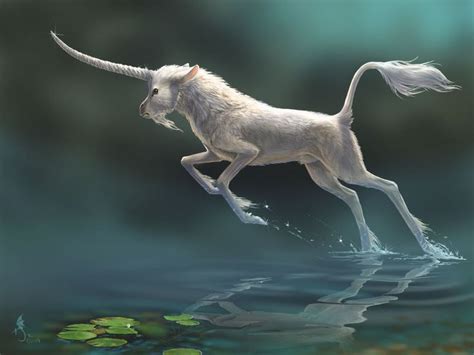 Fleeting By Jaxxblackfox On Deviantart Mythical Creatures Cute