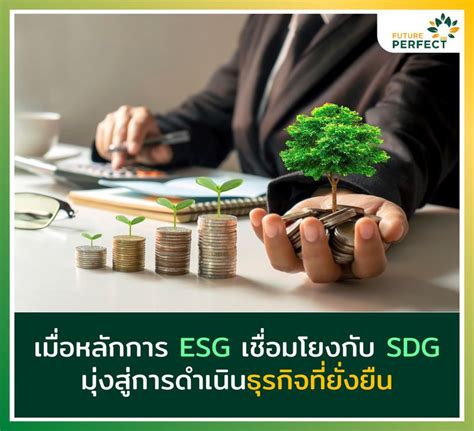 [future Perfect] เมื่อหลักการ Esg เชื่อมโยงกับ Sdg มุ่งสู่การดำเนินธุรกิจที่ยั่งยืน องค์กรธุรกิจ