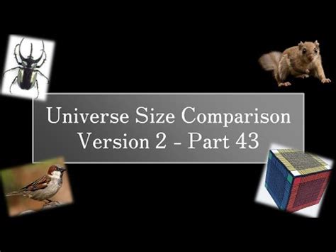 size comparison  part   cm  cm youtube