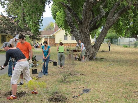 Lady Michaelis Tree Planting Bigfig Digital Media Flickr