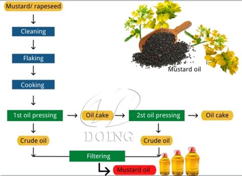 What Is The Extraction Process Of Mustard Oil FAQ