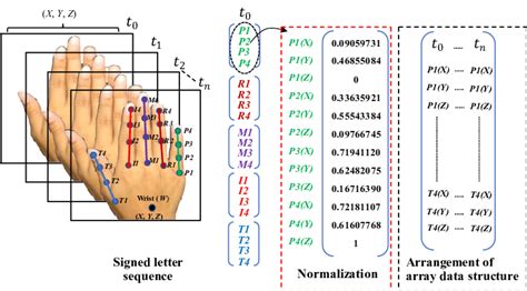 Finger Joint Numbering