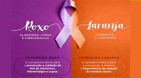 Fevereiro Roxo E Laranja Campanhas Fazem Alerta Para Conscientiza O