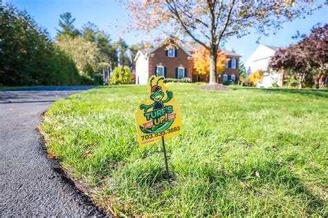 Fertilizing Your Lawn In Fall Dos And Don Ts For Northern Virginia