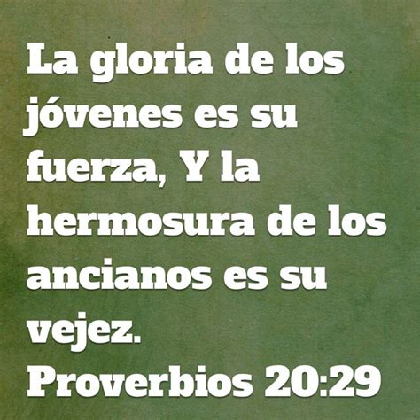 Proverbios Biblia Reina Valera Rvr Bible