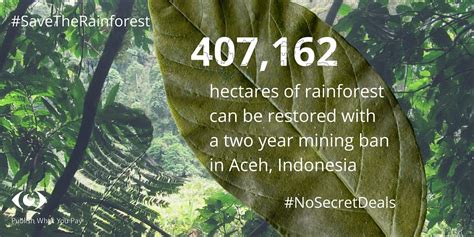 Mining ban in Indonesia can restore millions of hectares of protected ...