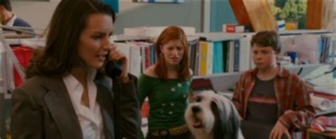 The Shaggy Dog (2006) DVD Review