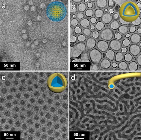 A Cryo Tem And Bd Tem Images And The Corresponding Structural