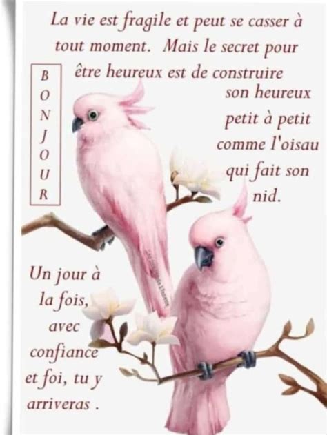 Pingl Par Ginette Feito Sur Animaux Adorables En Citations Bon