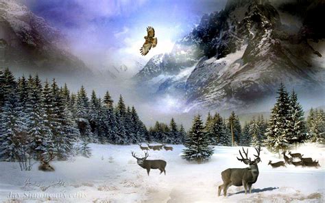 Free Wallpaper Deer In Snow Wallpapersafari