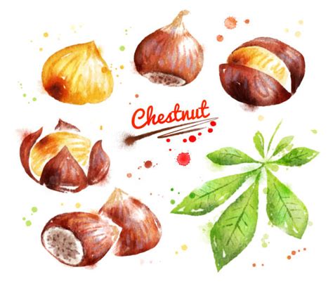 Chestnuts Roasting Illustrations, Royalty-Free Vector Graphics & Clip ...