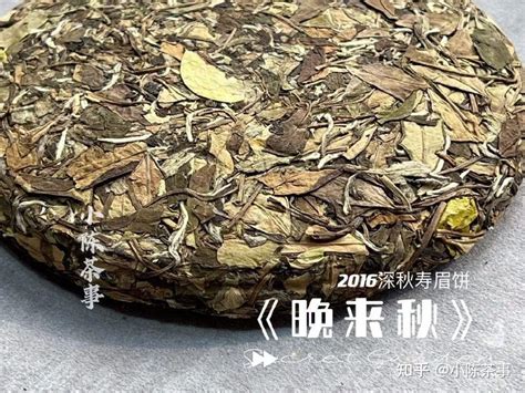 户外围炉煮茶，先注意“5个细节”，能省去很多麻烦，亲测有效 知乎