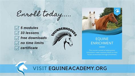 Equine Enrichment For Horseowners Equine Academy