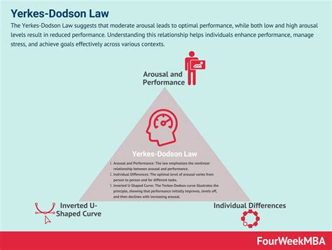 Loi De Yerkes Dodson Fourweekmba