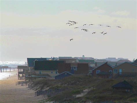 Beach Houses At Nags Head 3 Photograph by Cathy Lindsey - Fine Art America