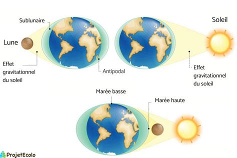 Comment Fonctionnent Les Mar Es D Finitions Et Explications