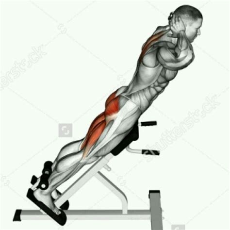 Hyperextension - Exercise How-to - Workout Trainer by Skimble