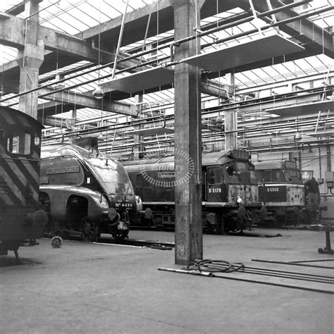 The Transport Library British Railways Steam Locomotive Class Gresley