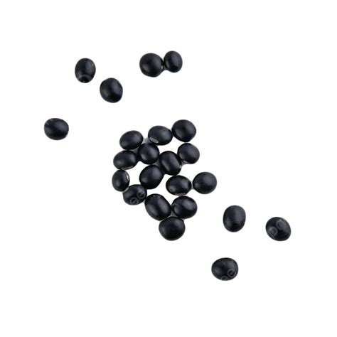 Black Bean Food Diet Beans Black Beans Peas And Beans Still Life Png