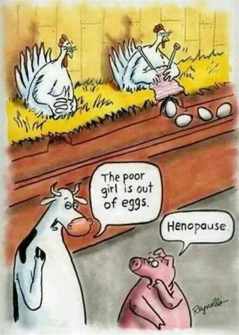 Hard Boiled Chicken Humor Funny Cartoons Bones Funny