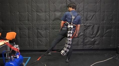 Wearable robotic tail could improve balance in humans - ABC News