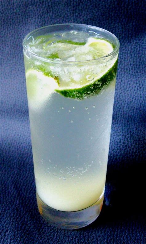 White Wine Spritzer - Low-Carb, So Simple! | Low-Carb, So Simple!