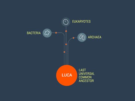 LUCA: Last Universal Common Ancestor - Earth How