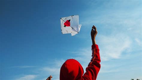 Kite Flying Competition Kite Flying Festival Kite Flying In Punjab