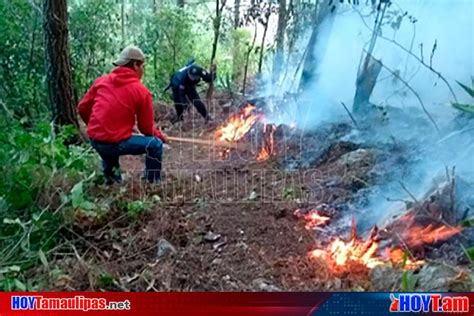 Hoy Tamaulipas Reporta Proteccion Civil 79 Incendios Activos En El Pais