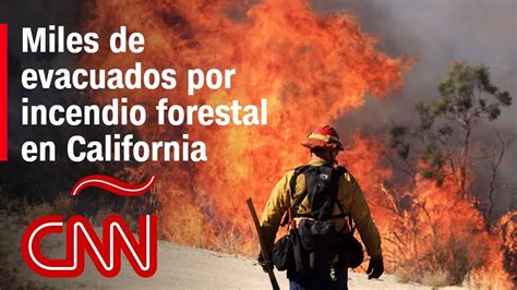 Miles De Evacuados Y Bosques Consumidos Por Incendio Forestal En