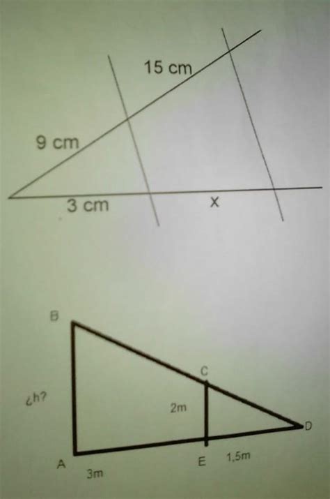 Usando El Teorema De Tales Encuentra El Valor De X Brainly Lat