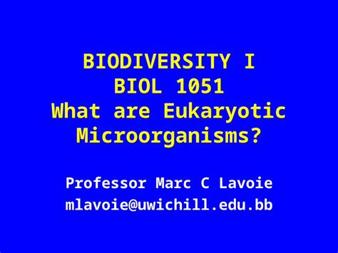 Ppt Biodiversity I Biol What Are Eukaryotic Microorganisms