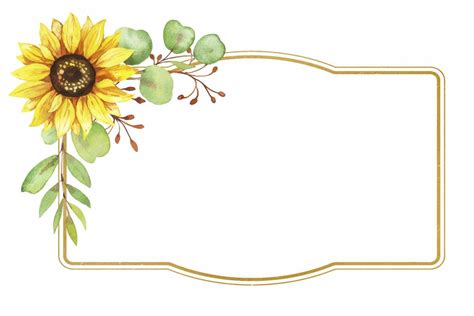 Golden Frame With Sunflower Flowers Watercolor Illustration 10879876